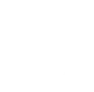 logo1